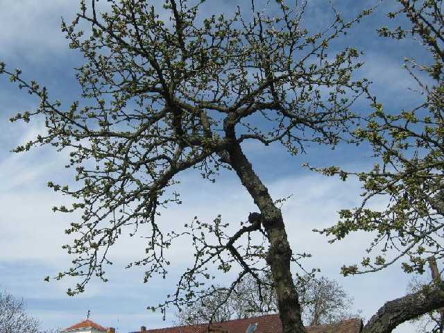 stažený soubor (2)