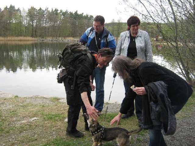 stažený soubor (9)