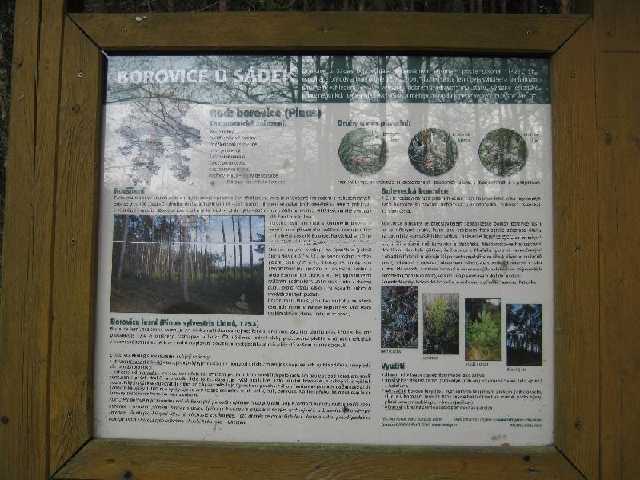 stažený soubor (15)