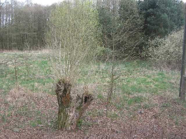 stažený soubor (18)