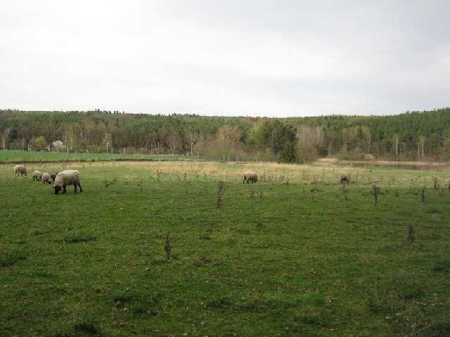 stažený soubor (19)