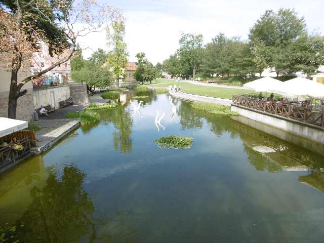 P1020893