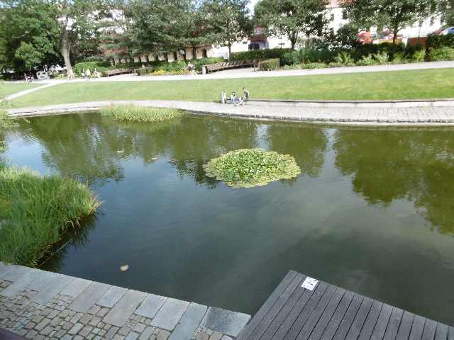 P1020900