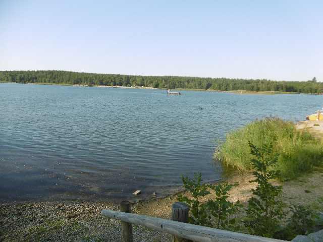 P1030461