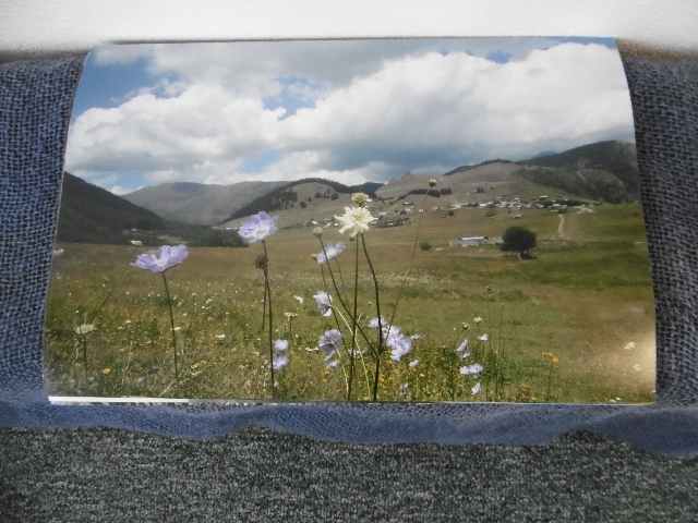 P1040094