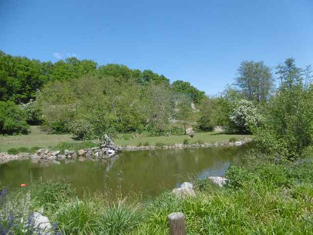 P1000229