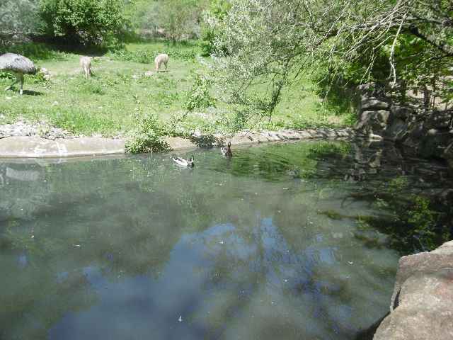P1000222