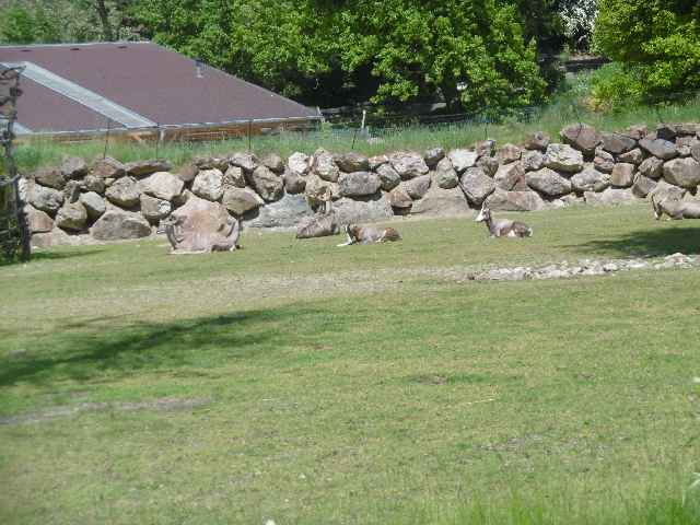 P1000227