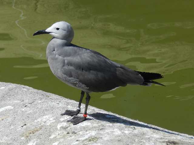 DSCN6895