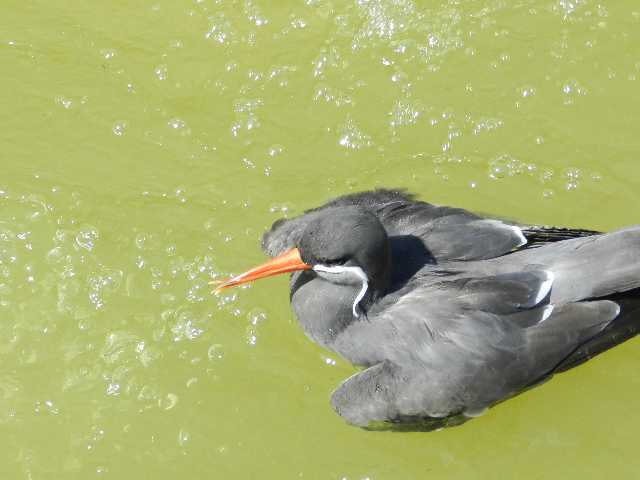 DSCN6898