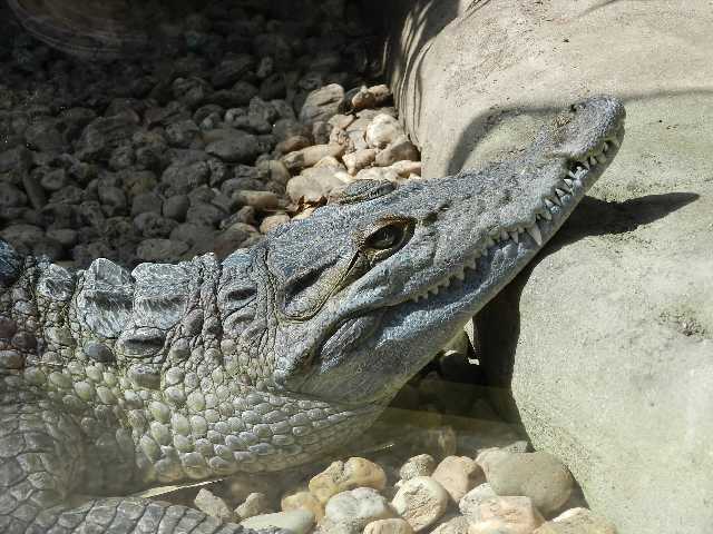 DSCN6963
