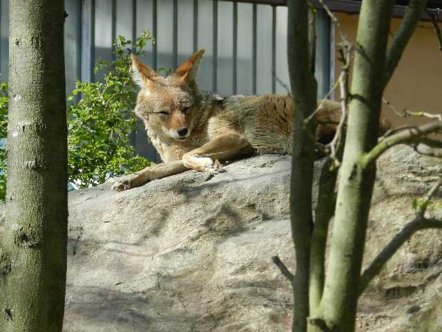 DSCN7006