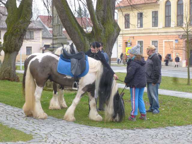 P1290273