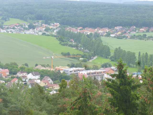 P1310559