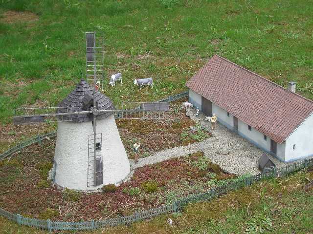 IMGP1906