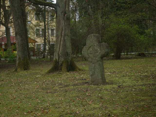 IMGP2128