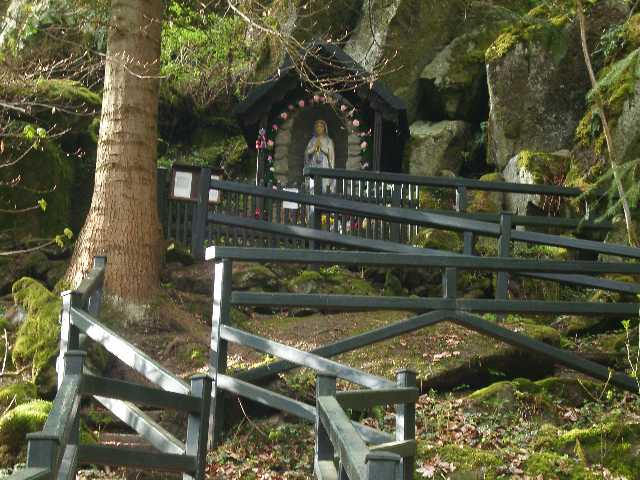 IMGP2203