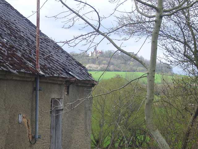 IMGP2250
